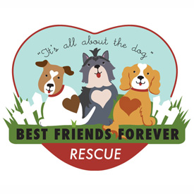 bff rescue logo