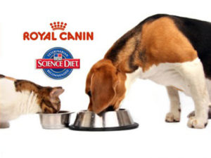 Royal Canin logo above photo of dog and cat eating from a bowl