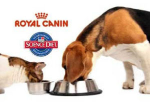Hills and Royal Canin pet diets