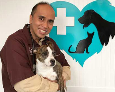 Dr. Cuesta holding cute brown and white dog