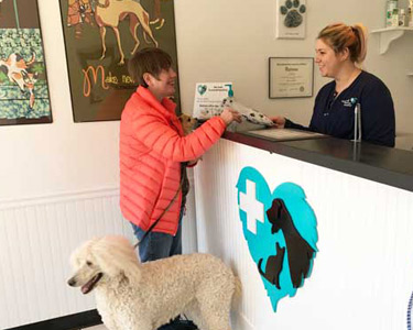 Customer with a large poodle is greeted by hospital team member